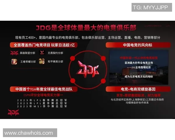 JDG战队意识分析与战术布局探讨在英雄联盟中的重要性