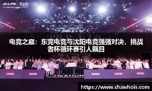 电竞之巅：东莞电竞与沈阳电竞强强对决，挑战者杯循环赛引人瞩目