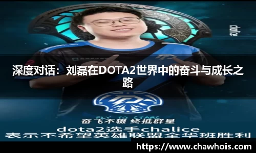 乐盈VI平台