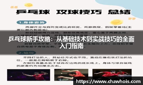 乐盈VI官网